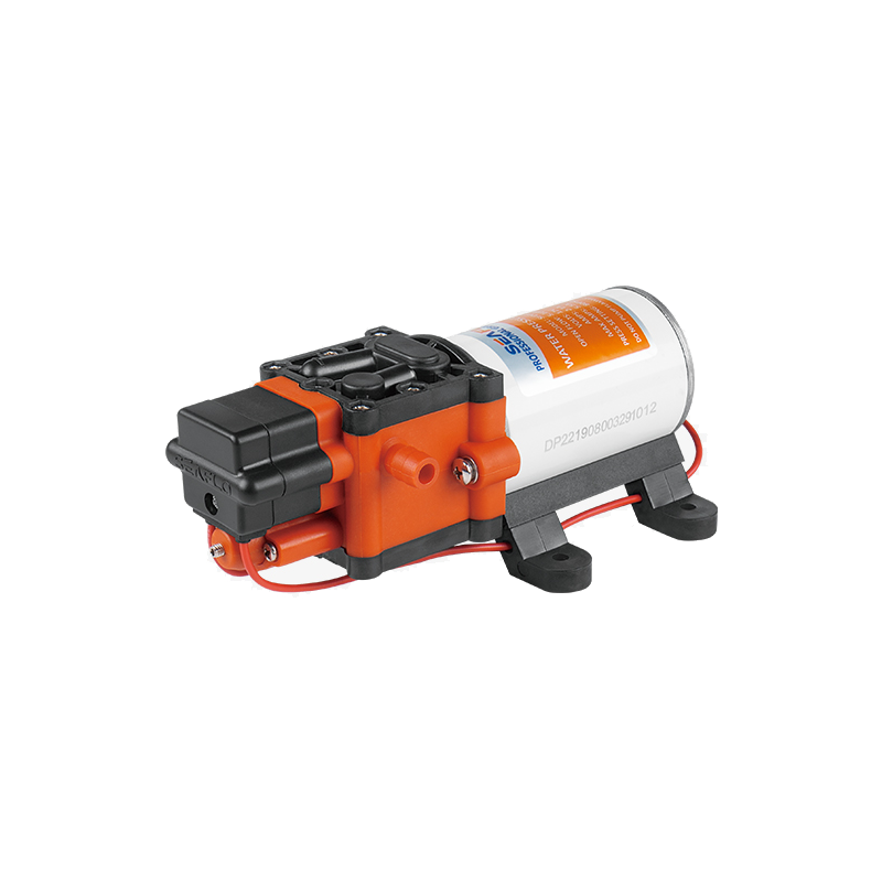 Pompe solaire de surface 12V Seaflo série 22