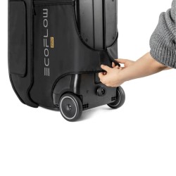 Transport pour EcoFlow DELTA Pro