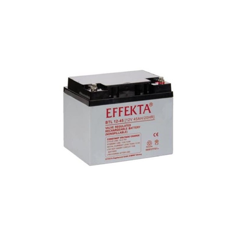 Batterie AGM 45Ah 12V Effekta BTL 12-45