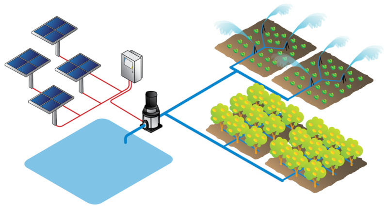 schema installation pompe solaire 48V lorentz PS2-600