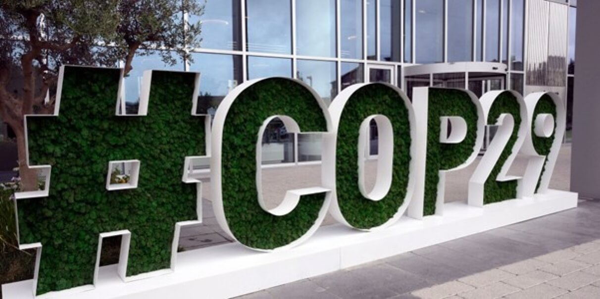 COP29 : les mots techniques pour parler finance et climat comme les pros